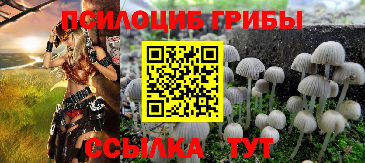 сколько стоит  Галлюциногенные грибы MAGIC MUSHROOMS  Вход с VPN  Энгельс  Псилоцибиновые грибы Cubensis 
