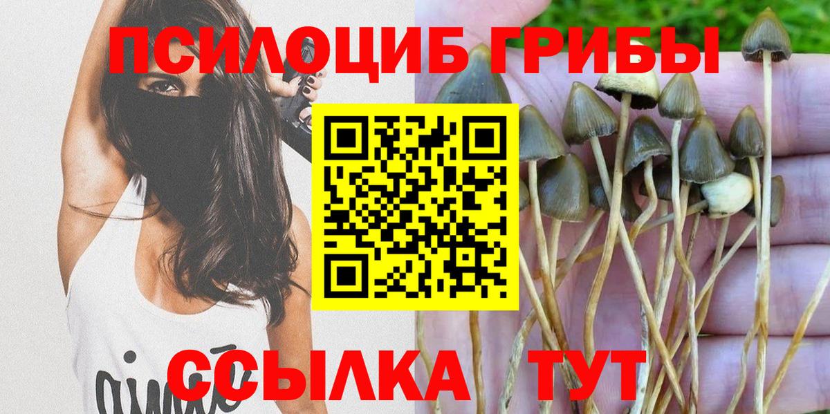 Псилоцибиновые грибы Psilocybe Энгельс
